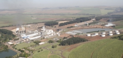 São Martinho: mix continuará açucareiro em 2020/21 se preço do açúcar se mantiver