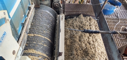 O desempenho da bioeletricidade no primeiro semestre de 2020