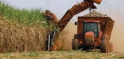 Exportações do campo cresceram 12% em julho, para US$ 10 bilhões