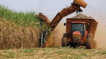 Exportações do campo cresceram 12% em julho, para US$ 10 bilhões