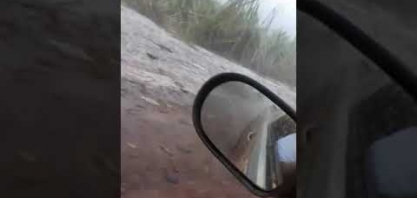 Tempestade de granizo arrasa canavial em Rio Brilhante, Mato Grosso do Sul