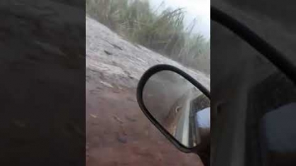 Tempestade de granizo arrasa canavial em Rio Brilhante, Mato Grosso do Sul