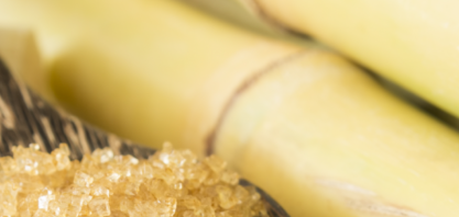 Tereos: Nossos açúcares especiais no centro das reformulações de produtos