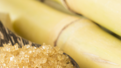 Tereos: Nossos açúcares especiais no centro das reformulações de produtos