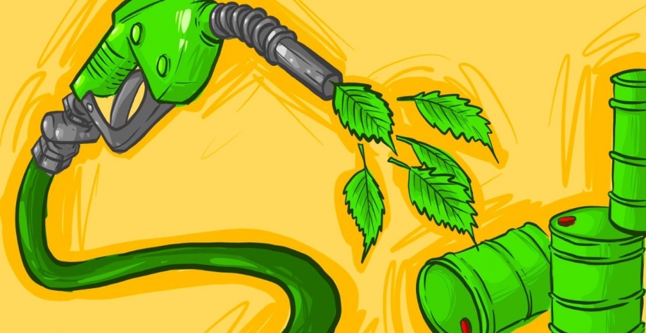 Foto: Arte: Dudu Rosa.