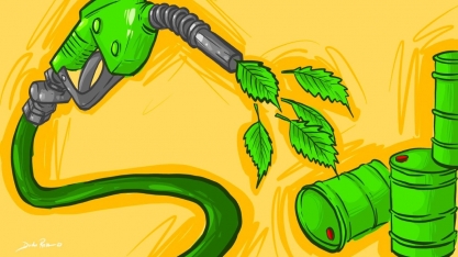 Biocombustíveis convencionais sustentáveis