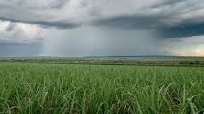 Sistema TEMPOCAMPO divulga boletim de agosto
