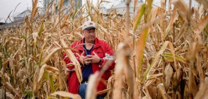 EUA dão nova ajuda à cadeia milho-etanol enquanto o Brasil libera nova cota de importação do renovável