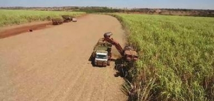 Produtores de Tupaciguara se preparam para aumento da safra de cana de açúcar