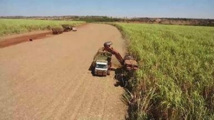 Produtores de Tupaciguara se preparam para aumento da safra de cana de açúcar