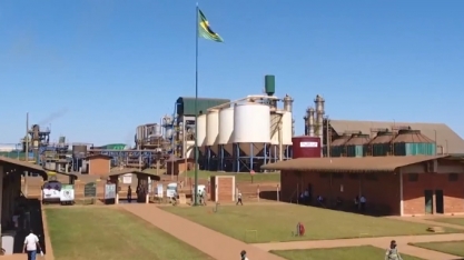 MG Rural destaca safra recorde de cana-de-açúcar de Minas Gerais; Bioenergética Aroeira é destaque