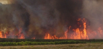  Usinas goianas atuam fortemente no combate a incêndios