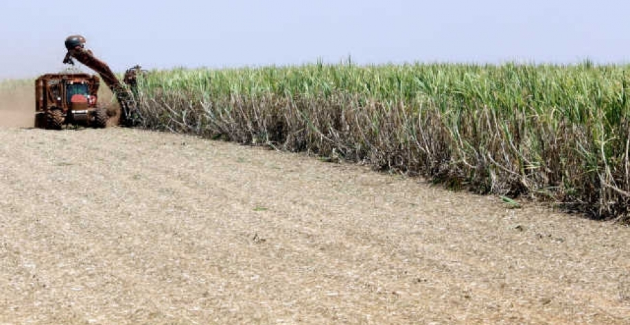Trata-se já do primeiro resultado das recém-abertas negociações Brasil-EUA (Imagem: REUTERS/Paulo Whitaker)