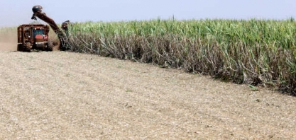 EUA vão liberar cota adicional de 80 mil t de açúcar ao Brasil, diz Bolsonaro