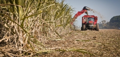 Mais duas usinas iniciam a moagem em Alagoas