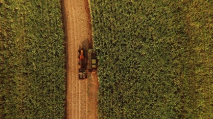 Moagem acumulada cresce 4,5% na safra 20/21