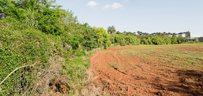 Estudo estabelece determinantes do custo de oportunidades de fazendeiros em manterem reserva legal