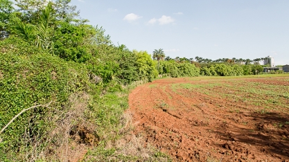 Estudo estabelece determinantes do custo de oportunidades de fazendeiros em manterem reserva legal