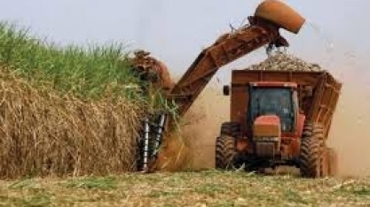 Agronegócio de MG fatura mais com as exportações