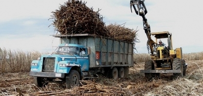 Produção de açúcar no México deve voltar a crescer em 2020/21