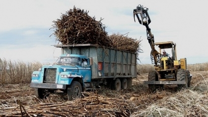 Produção de açúcar no México deve voltar a crescer em 2020/21