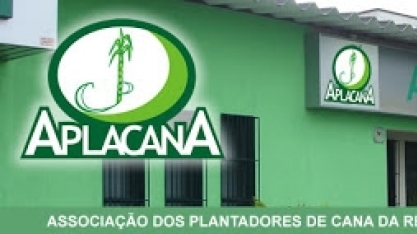 Fornecedores de cana são contra a venda das unidades do Grupo Moreno