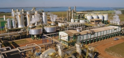 Pedidos do Açúcar Guarani pelo e-commerce crescem 307% durante a quarentena