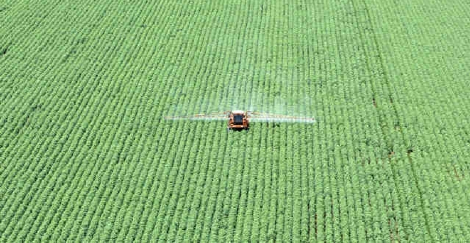 A Anvisa manteve a decisão pelo banimento do ingrediente ativo Paraquate no Brasil (Imagem: REUTERS/Paulo Whitaker)