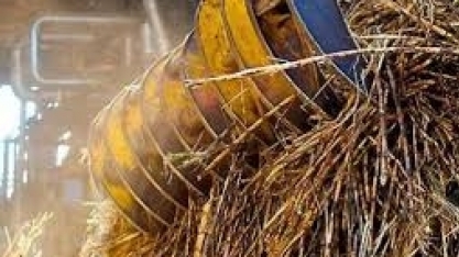 Empresários do setor sucroenergético paraibano recebem executivo da segunda maior distribuidora de combustíveis do Brasil
