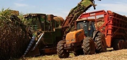 Minas Gerais tem crescimento de 7% na moagem de cana até agosto