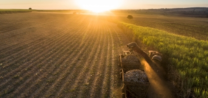Ano seco demanda esforços extras na Biosev para não haver quebra de produtividade no segundo semestre