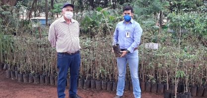 Atvos doa mil mudas para viveiros de cidades do Mato Grosso do Sul 
