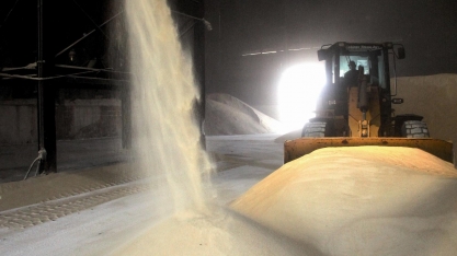 Alta do preço da libra-peso e do dólar marcam o mercado futuro de açúcar de Nova Iorque