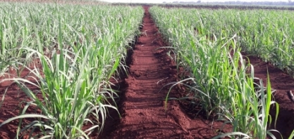 Senai MT inaugura Instituto de Tecnologia em Cuiabá