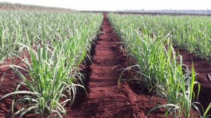 Senai MT inaugura Instituto de Tecnologia em Cuiabá