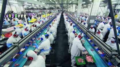 Marfrig abre 400 vagas de emprego em Várzea Grande