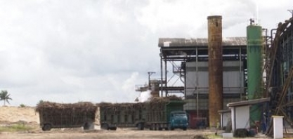 Produção de cana de açúcar na Bahia é 22,4% em 2020 em comparação com 2019