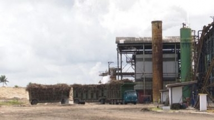 Produção de cana de açúcar na Bahia é 22,4% em 2020 em comparação com 2019