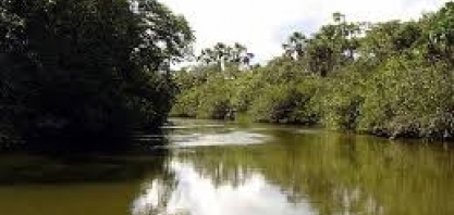Setor em Minas preserva uma área equivalente ao Parque Nacional da Serra da Canastra
