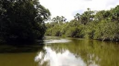 Setor em Minas preserva uma área equivalente ao Parque Nacional da Serra da Canastra