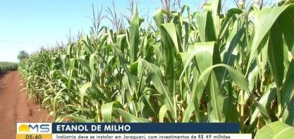 Indústria de etanol de milho deve se instalar em Jaraguari