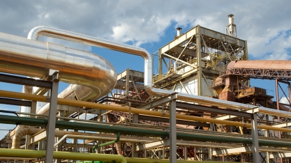 Biosev alcança EBITDA de R$ R$ 369,1 milhões em trimestre de recordes operacionais