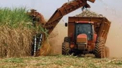 Tempo seco não teve efeito ruim na safra atual, mas pode afetar a próxima