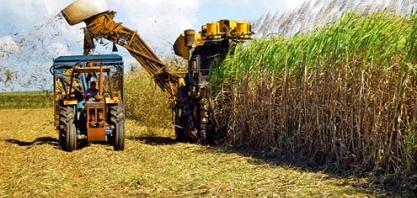 ATR final de safra tem variação discreta em agosto