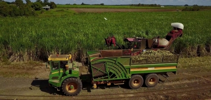 USDA reduz estimativa para produção de açúcar na Austrália em 2020/21