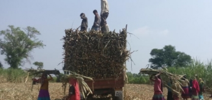 Índia deve manter subsídio à exportação de açúcar pelo 3° ano seguido