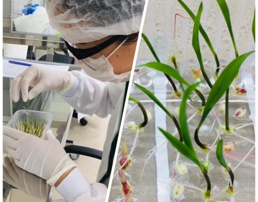 Foto: Arquivo Sempre