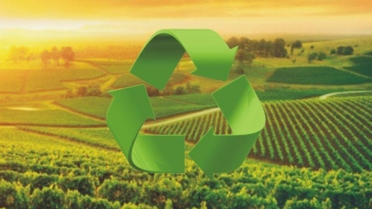 Novo fundo vai destinar US$ 68 milhões para agricultura sustentável no Brasil