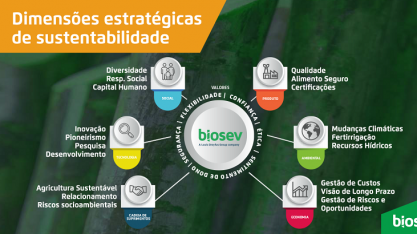 Biosev divulga Dimensões Estratégicas de Sustentabilidade