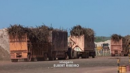 Produtores de União, no Piauí, têm safra recorde de cana-de-açúcar em 2020
